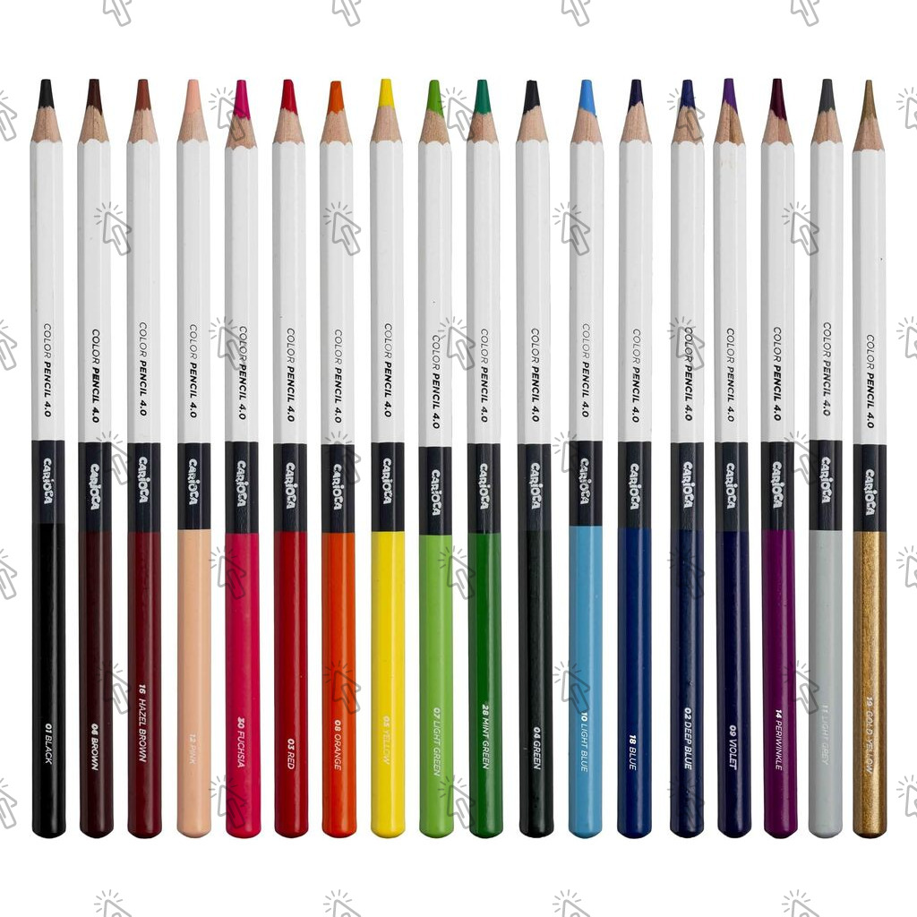 Matite colorate Carioca Plus Color Pencil 4.0: cf. da 24 u.