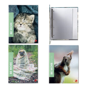Raccoglitore ad anelli BM Baby 2: A4